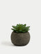 Artificial Mini Succulent in Concrete Pot